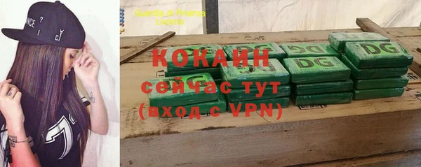 прущие крисы Алзамай