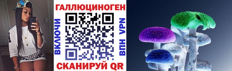 Галлюциногенные грибы Psilocybine cubensis  гидра сайт  Губкин 