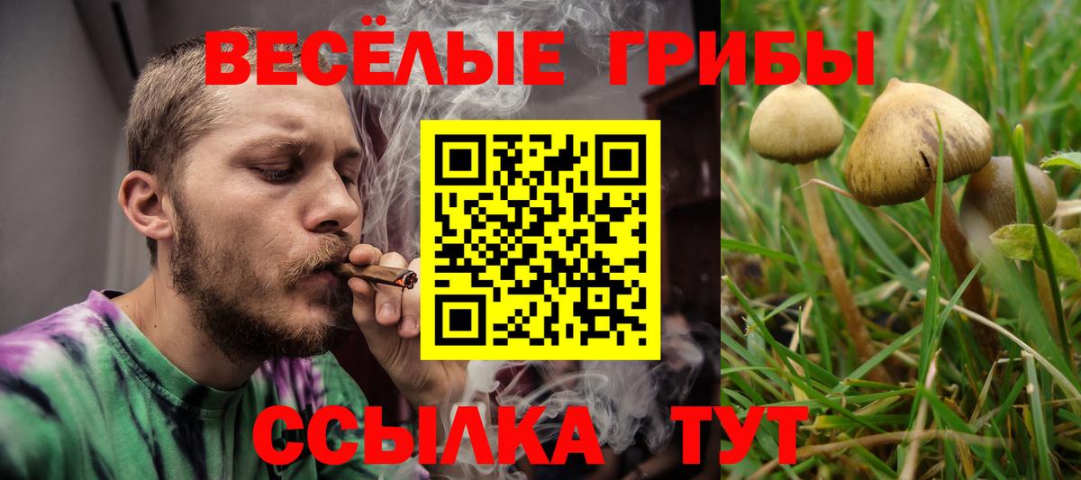 Галлюциногенные грибы Psilocybe  Вход с VPN  Губкин 