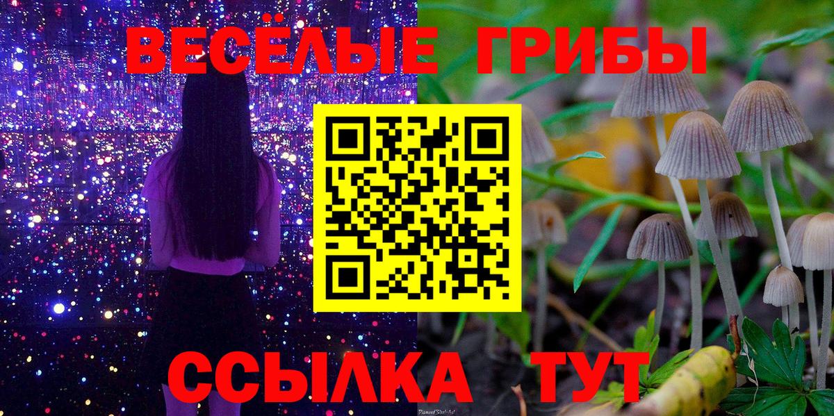 Псилоцибиновые грибы GOLDEN TEACHER  купить наркотик  Губкин 