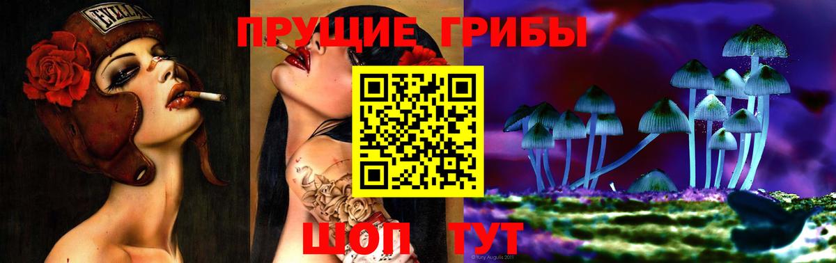 Псилоцибиновые грибы мухоморы Губкин